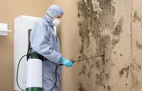 Why You Should Choose Our Mold Remediation Services in Wilton Center, CT